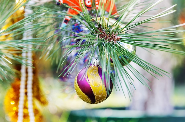 Beautiful traditional Christmas decor closeup