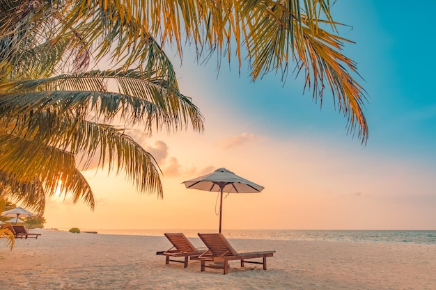 Beautiful tropical beach banner. White sand and coco palms travel tourism wide panorama background