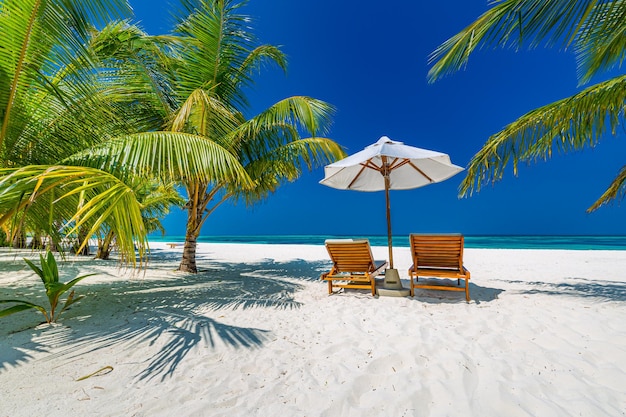 Beautiful tropical beach Luxury island resort vacation chairs umbrella palm white sand blue sea