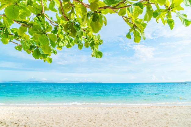 Beautiful tropical beach and sea landscape