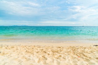 beach backgrounds