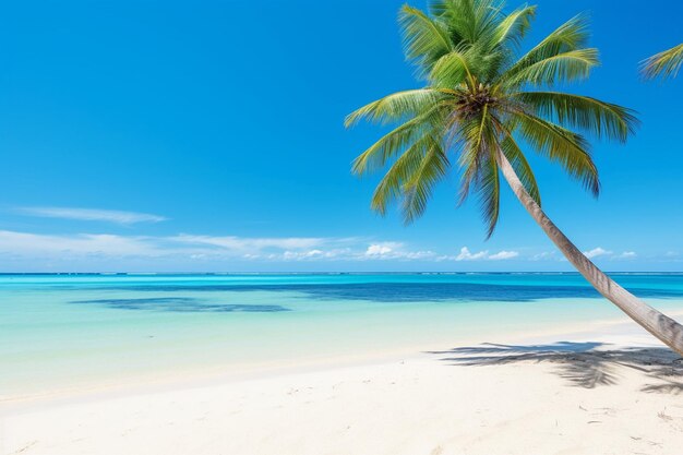 Beautiful tropical beach sea and sand with coconut palm tree on blue sky and white cloud