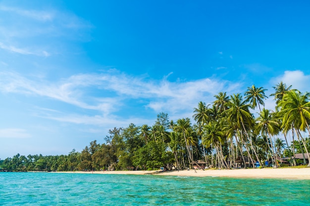 Beautiful tropical beach and sea