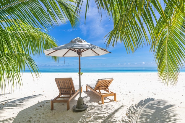 Beautiful tropical beach vacation. White sand and coco palms travel tourism, chairs umbrella.