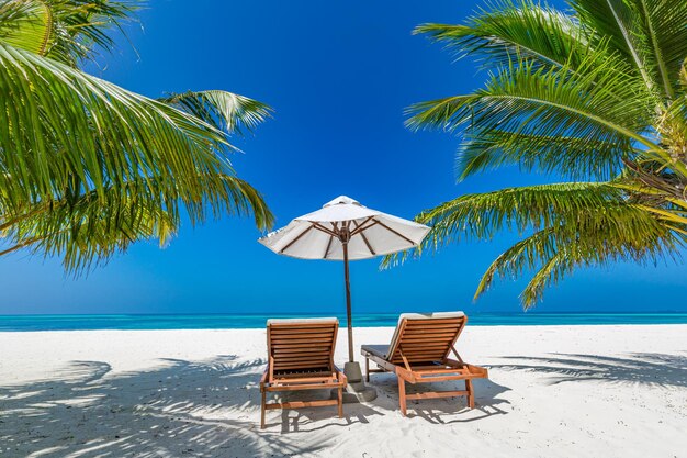 Photo beautiful tropical beach. white sand coco palms travel tourism, chairs umbrella. summer seaside