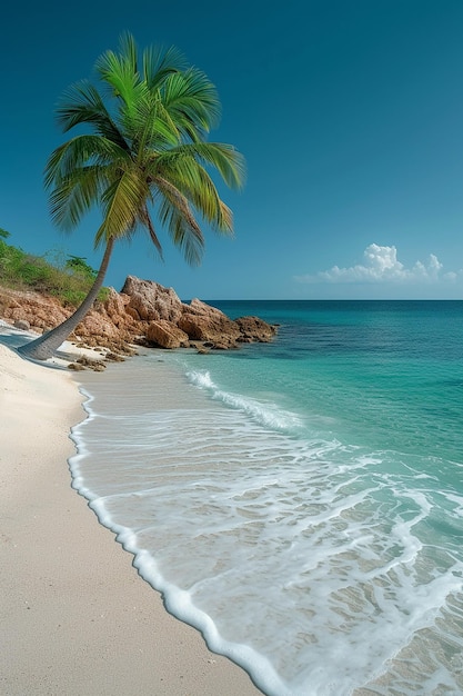 Beautiful Tropical beach with coconut trees