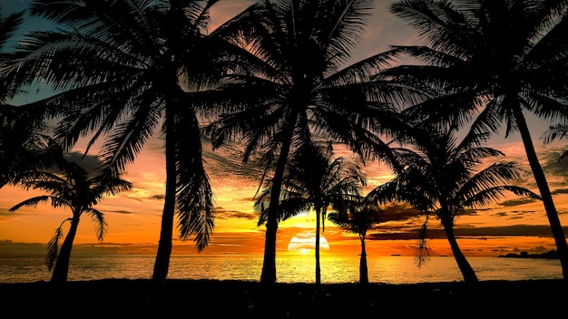 Beautiful tropical coastline view with palm tree silhouette