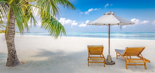 Beautiful tropical island couple chairs umbrella palm tree leaves paradise sea sand sky vacation