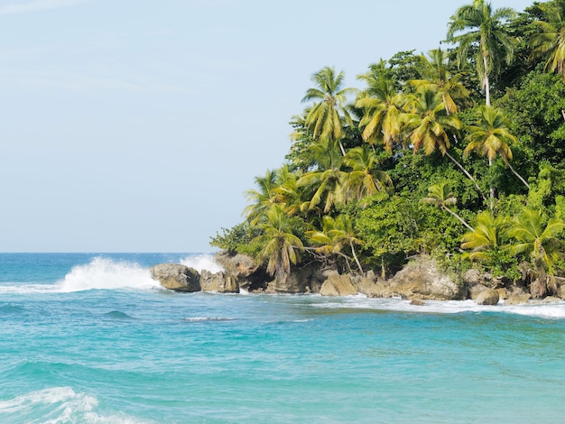 Beautiful tropical Island paradise view with ocean and palms trees. Dominican Republic.