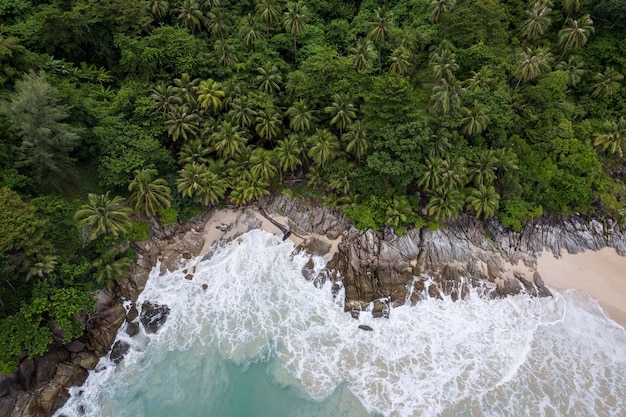 Beautiful tropical island with beach and coconut palm tree freedom beach phuket