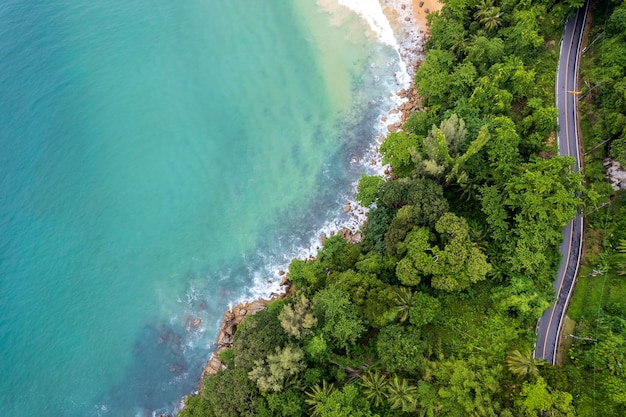 Beautiful tropical island with beach and coconut palm tree freedom beach phuket