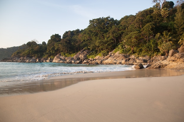 beautiful tropical ocean coast