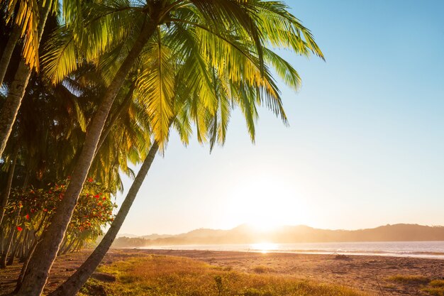 Beautiful tropical Pacific Ocean coast in Costa Rica