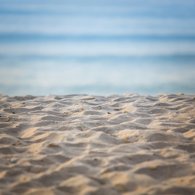 beautiful tropical sand beach and sea in morning time