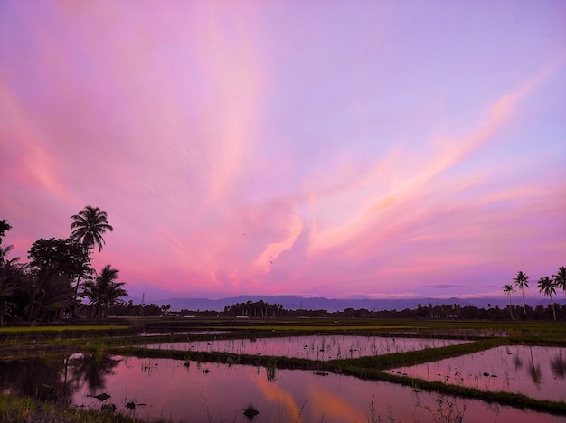 Beautiful tropical sunset view