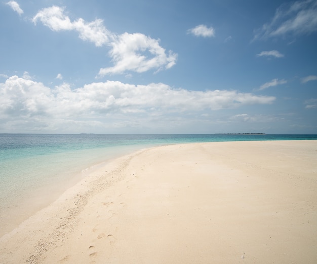 Beautiful tropical white sand beach and sea