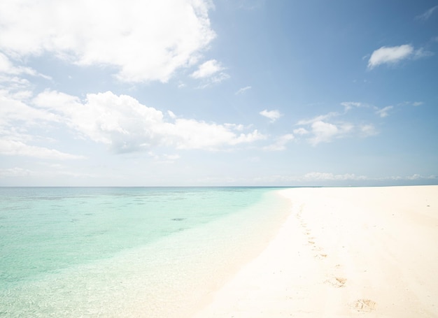 Beautiful tropical white sand beach and sea