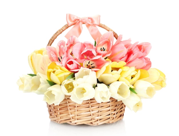 Beautiful tulips in basket isolated on white