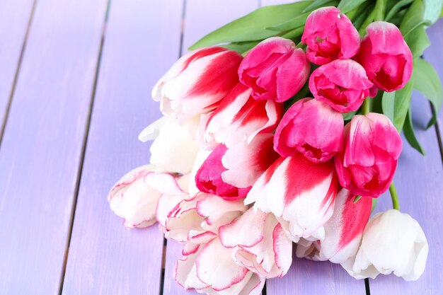 Beautiful tulips on color wooden background