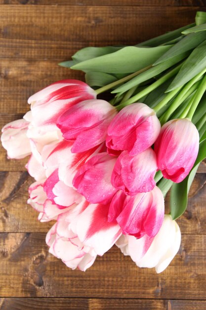 Beautiful tulips on color wooden background