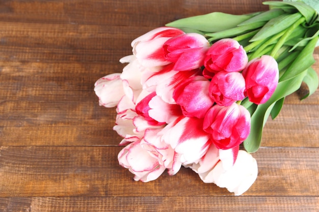 Beautiful tulips on color wooden background