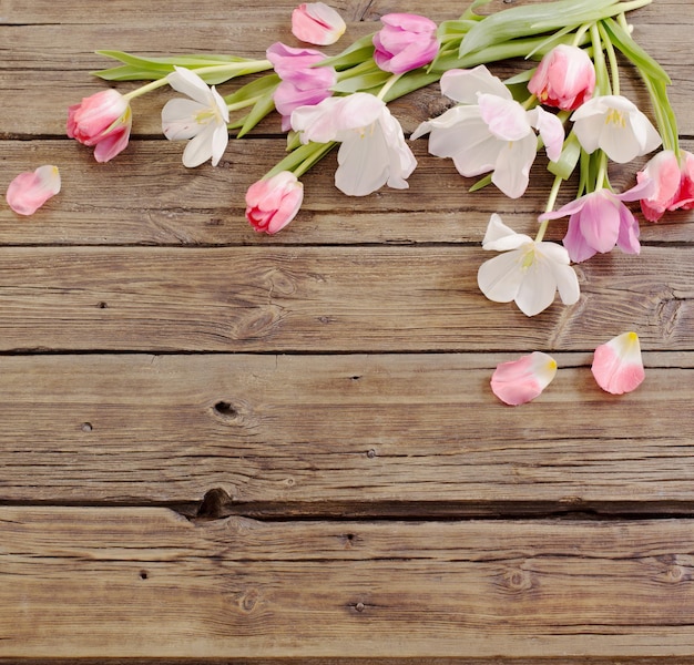 Beautiful tulips on old dark wooden background