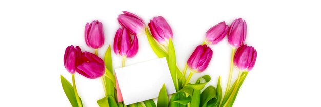 Beautiful tulips Spring nature background for web banner and card design