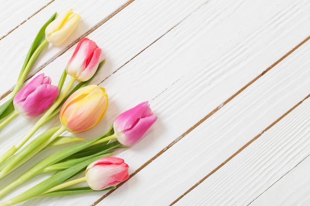 Beautiful tulips on white wooden background