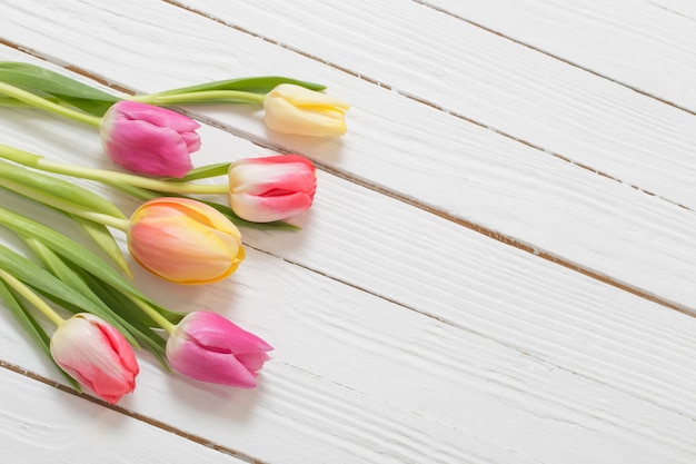 Beautiful tulips on white wooden background