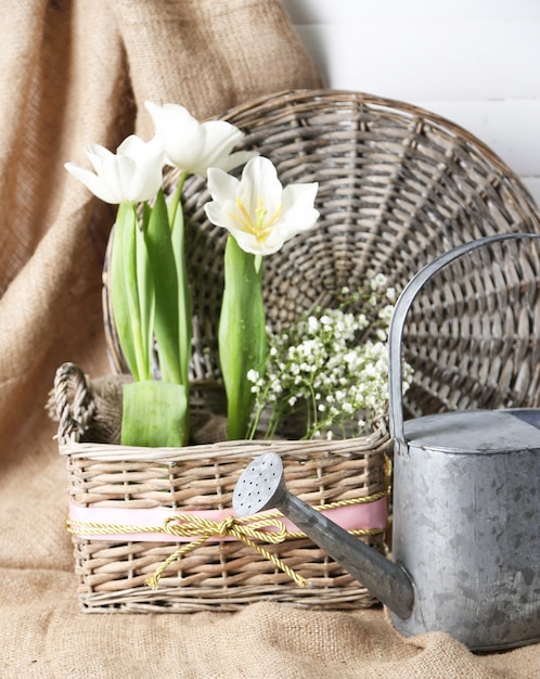 Beautiful tulips in wicker basket, on color wooden background