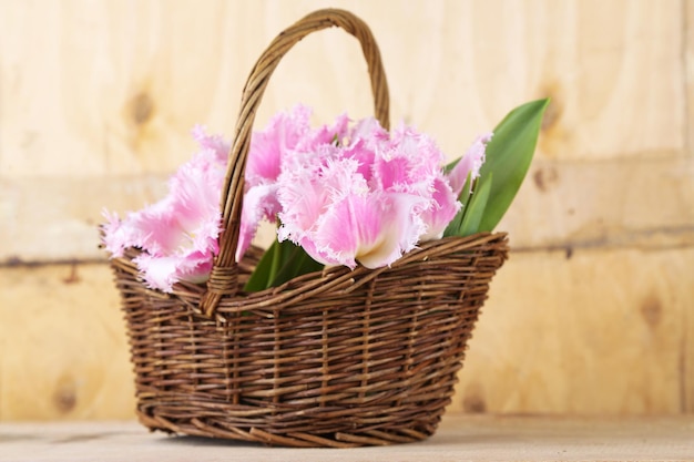 Beautiful tulips in wicker basket, on wooden background