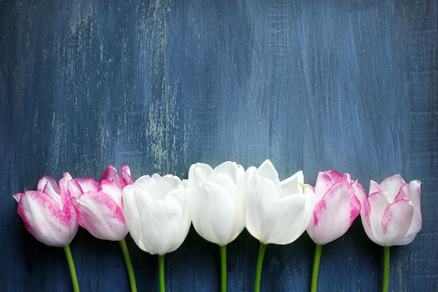 Beautiful tulips on wooden background