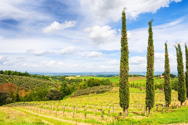 Beautiful Tuscany landscape, San Gimignano, Italy