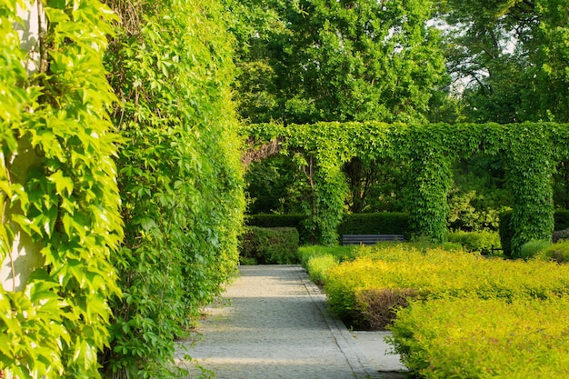 Beautiful urban summer park in sunlight