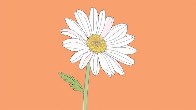 A beautiful vector illustration of a white daisy flower with a yellow center and light pink petals