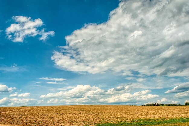 beautiful view of the agricultural field