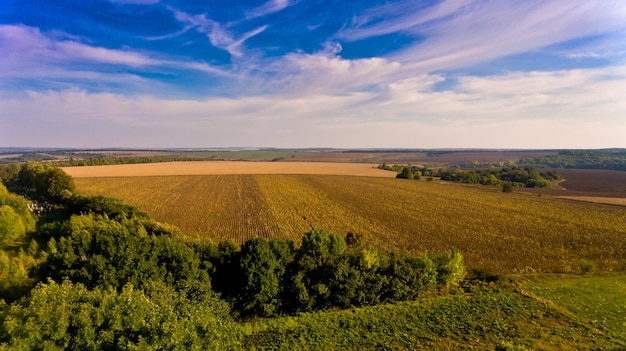 Beautiful view of agricultural fields and blue sky with white clouds Aerial view