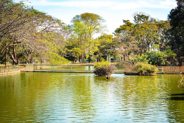 A beautiful view of animals in Brasilia Zoo Brazil