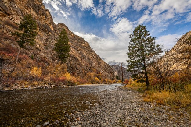 Photo beautiful view of an autumn landscape and the panther creek idaho usa