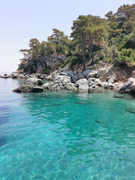 Beautiful view of the azure coast rocks and pine trees The Aegean sea Turkey Kusadasi