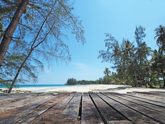 Beautiful view of beach with wooden bridge in Thailand