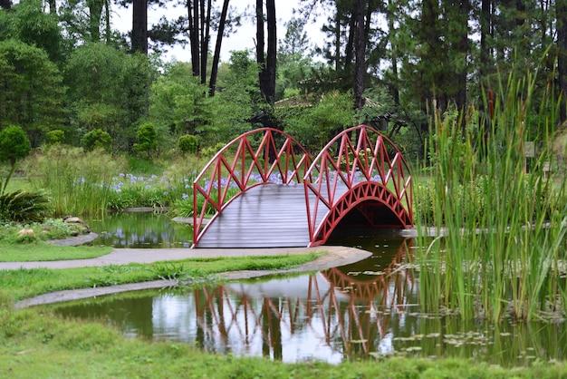 A beautiful view of botanical garden located in Brasilia Brazil