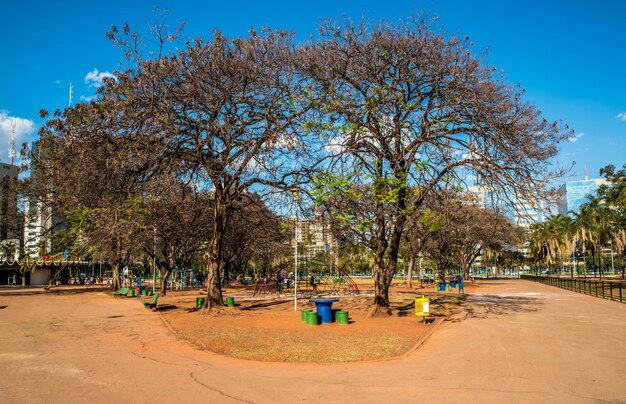 A beautiful view of citys park located in Brasilia Brazil