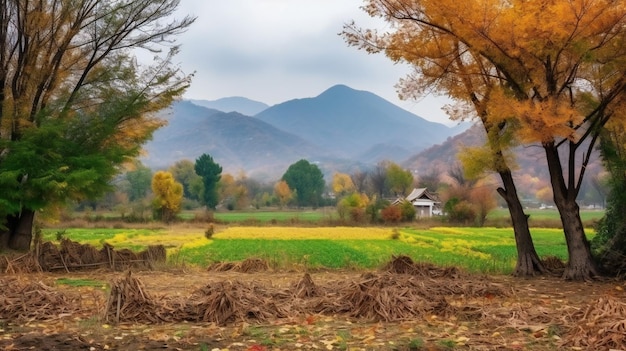 Beautiful view countryside of farm field with mountain nature forests