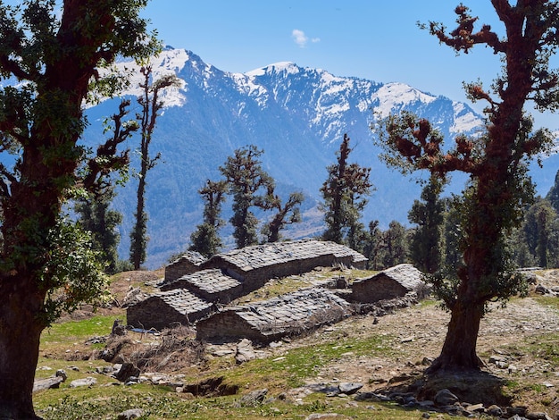 Beautiful view of the field grass trees and a hut with mountains in the background on sunny day