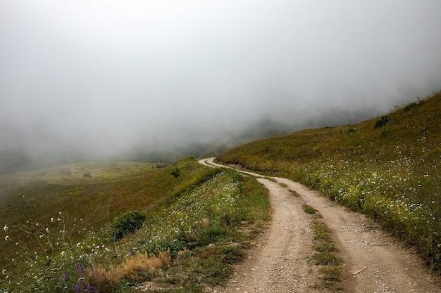 Beautiful view from mountain road