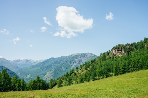 Beautiful view to green forest hill with rock and mountain range Awesome minimalist alpine landscape