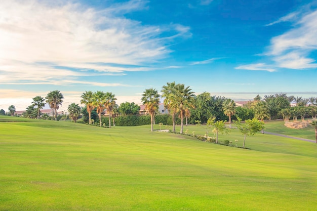 Beautiful view of the green lawn in Sheikh Zayed, Egypt