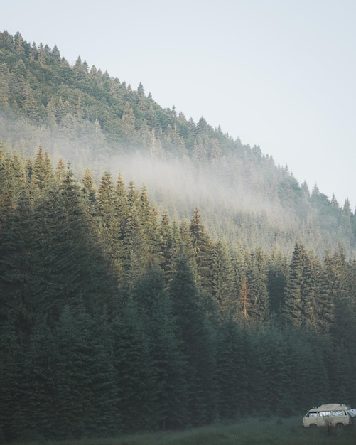 Beautiful view of a green mountainous landscape with trees and cars parked in a camping place