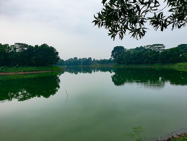 Beautiful view of the lake in the morning with of shady trees around it